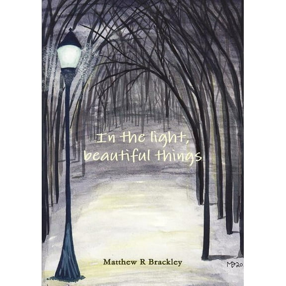 In the light, beautiful things (Paperback)