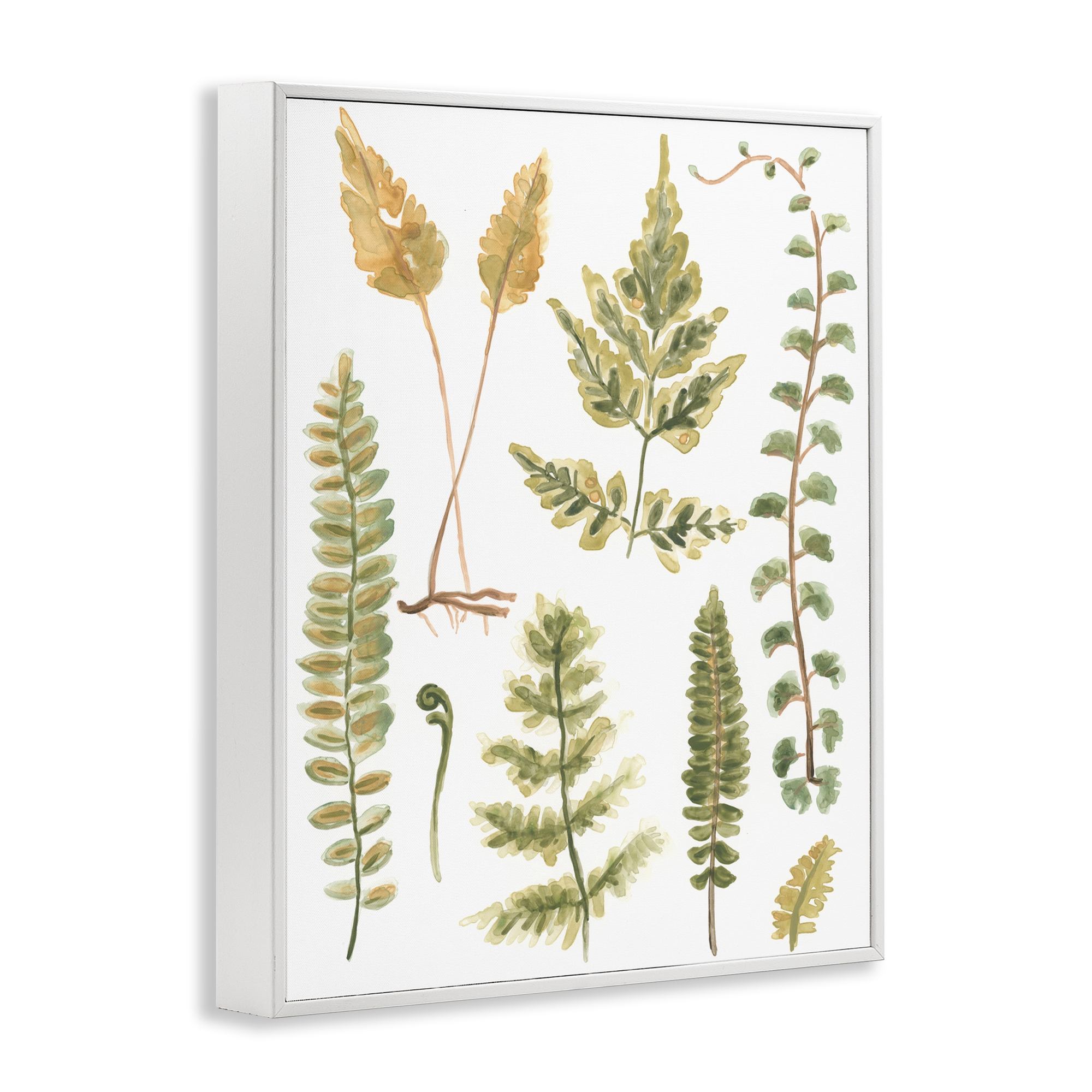 Stupell Industries Varied Fern Leaves Botanical & Floral Painting White Framed Art Print Wall Art, 24 x 30