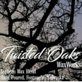 thumbnail image 5 of Fun In The Sun. Sex On The Beach Soybean Blend Wax Melt. Twisted Oaks Wax Works., 5 of 5