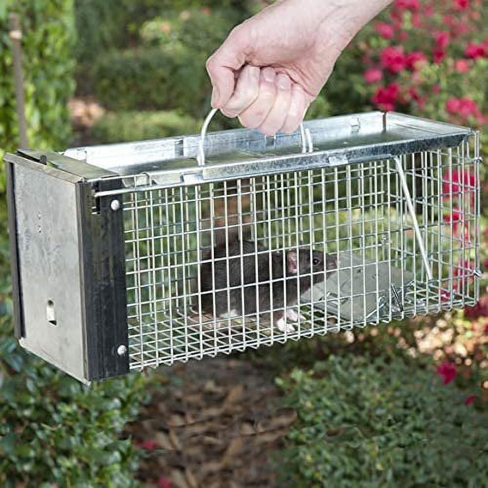 How to Set: Havahart® X-Small 1-Door Trap Model #0745 for Chipmunks, Rats &  Squirrels 