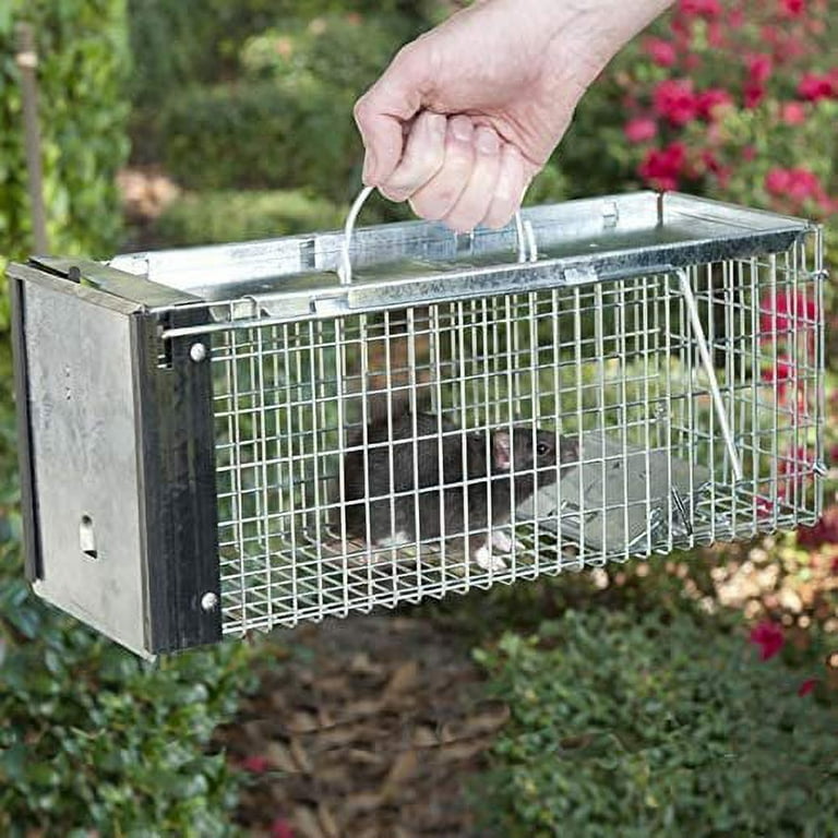 Kness Kage-All Squirrel Live Animal Trap, 1 - Fry's Food Stores