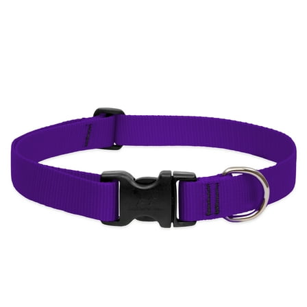 1in Purple 16-28 Adj Dog Collar