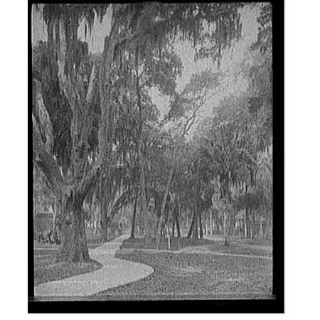 Historic Print, Bay Street, Daytona, Fla., 18" x 24"