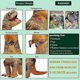 thumbnail image 5 of Disfraces inflables de dinosaurios para niños y adultos, trajes de fiesta de dibujos animados de Anime t-rex, disfraz de Halloween para hombre y mujer, 5 of 5