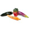 Nino 4-Piece Botany Shaker Vegetable Assortment