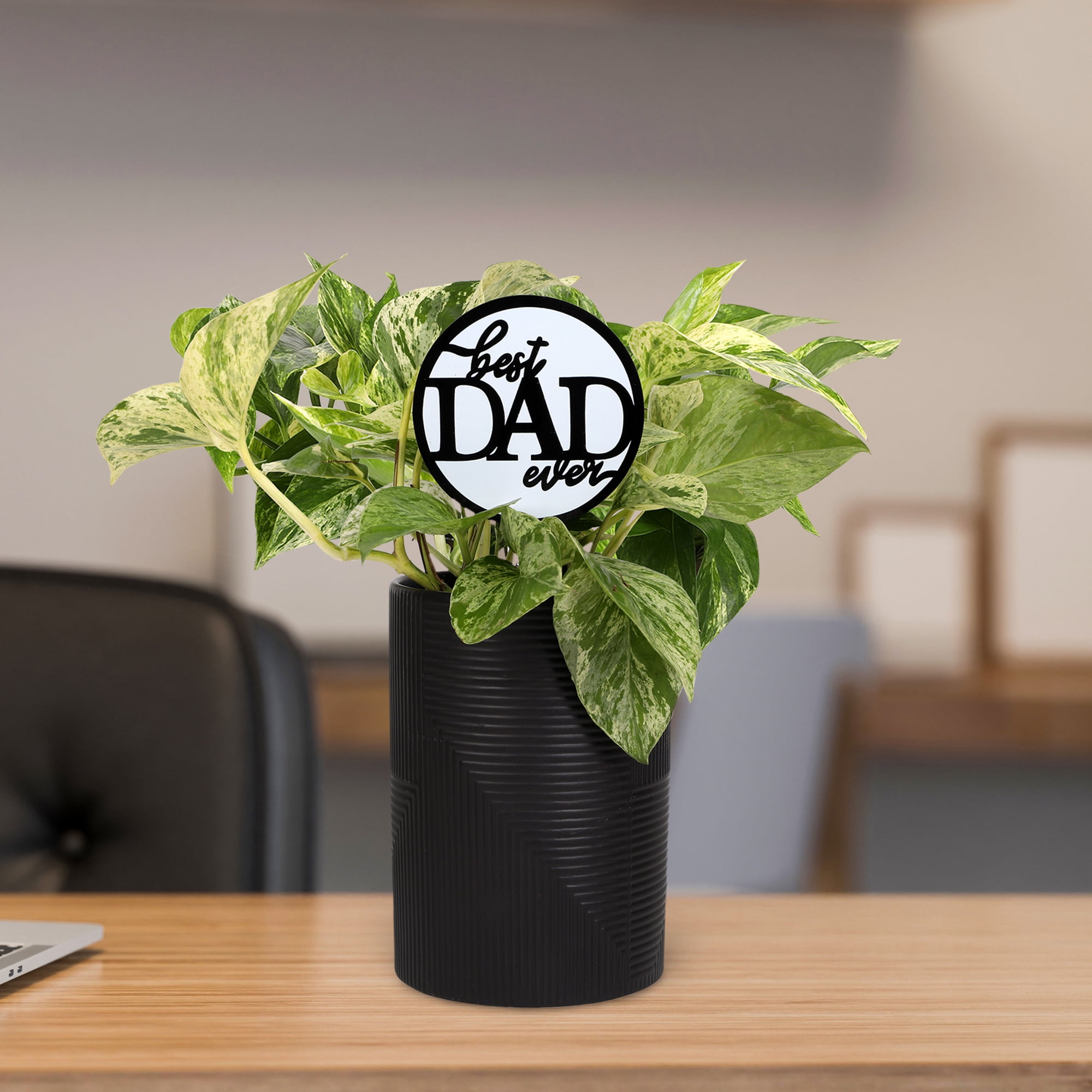 Green Circle Growers 5in Pothos in Ceramic Pot - Best Dad Ever Pick