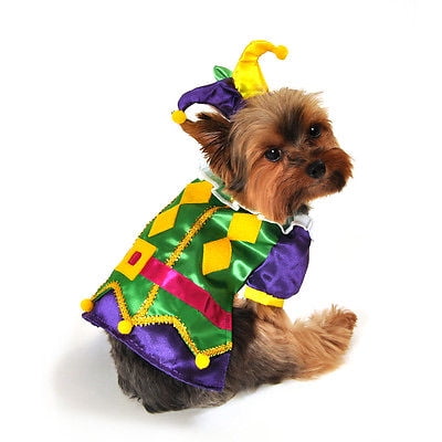 Colorful Harlequin Mardi Gras Jester Dog Costume Diamond Ruffle Collar Shirt (Size 4)