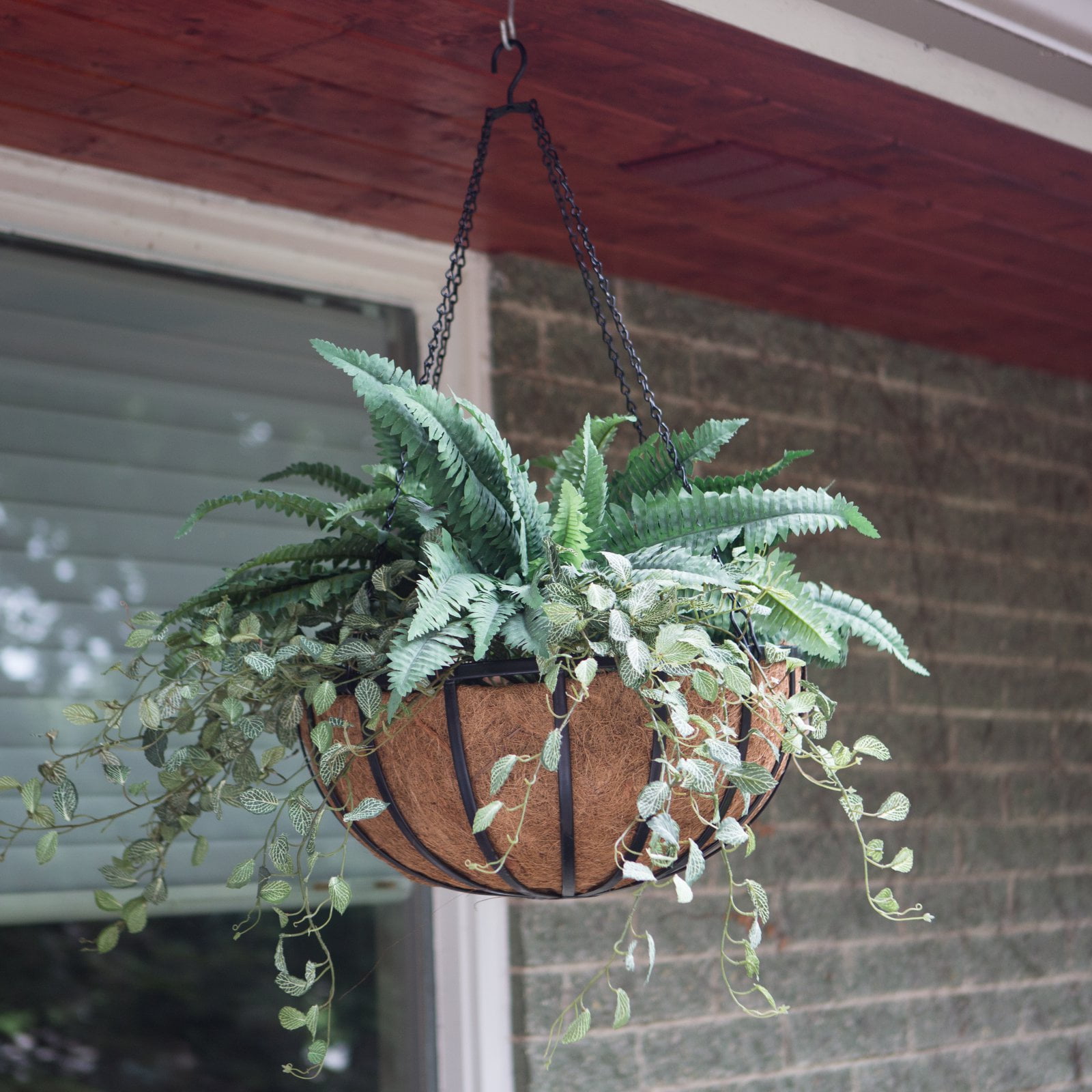 Border Concepts Traditional Hanging Basket with Liner