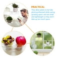 thumbnail image 3 of Minkissy 2pcs Clear Window Suction Shelf Acrylic Storage For General Users And Children, 3 of 8