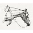 thumbnail image 2 of Bernard, Jean 18x15 Black Modern Framed Museum Art Print Titled - Head of a Horse III 1820, 2 of 4