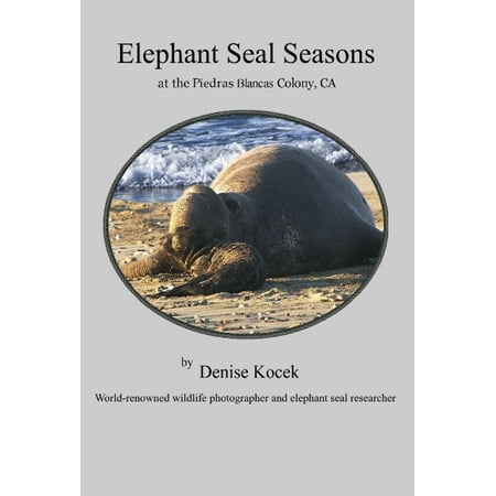 Piedras Blancas Elephant Seal - Elephant Seal Seasons at the Piedras Blancas Colony, CA - eBook