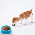 thumbnail image 3 of Pet Supplies Small Round Pet Bowl Set Lightweight Affordable Cat Dog Food Dishes Ideal for Feeding in Blue White, 3 of 5