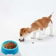thumbnail image 4 of Comederos de plástico ligeros - Material PP, colores azul/blanco y fáciles de limpiar - Comederos para gatos/perros pequeños en casa/de viaje, 4 of 6