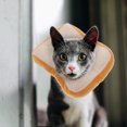 thumbnail image 3 of 1pc Pet Cat Collar Cat Recovery Collar Pet Supply Bread Shape Anti Bite Pet Collar, 3 of 6