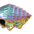 thumbnail image 5 of 6", 6", 8"W Multi Colored Ceramic Shell Sculpture with Rainbow Shimmer Finish, by DecMode (3 Count), 5 of 10