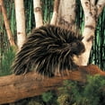 thumbnail image 3 of Porcupine Puppet (Other), 3 of 4