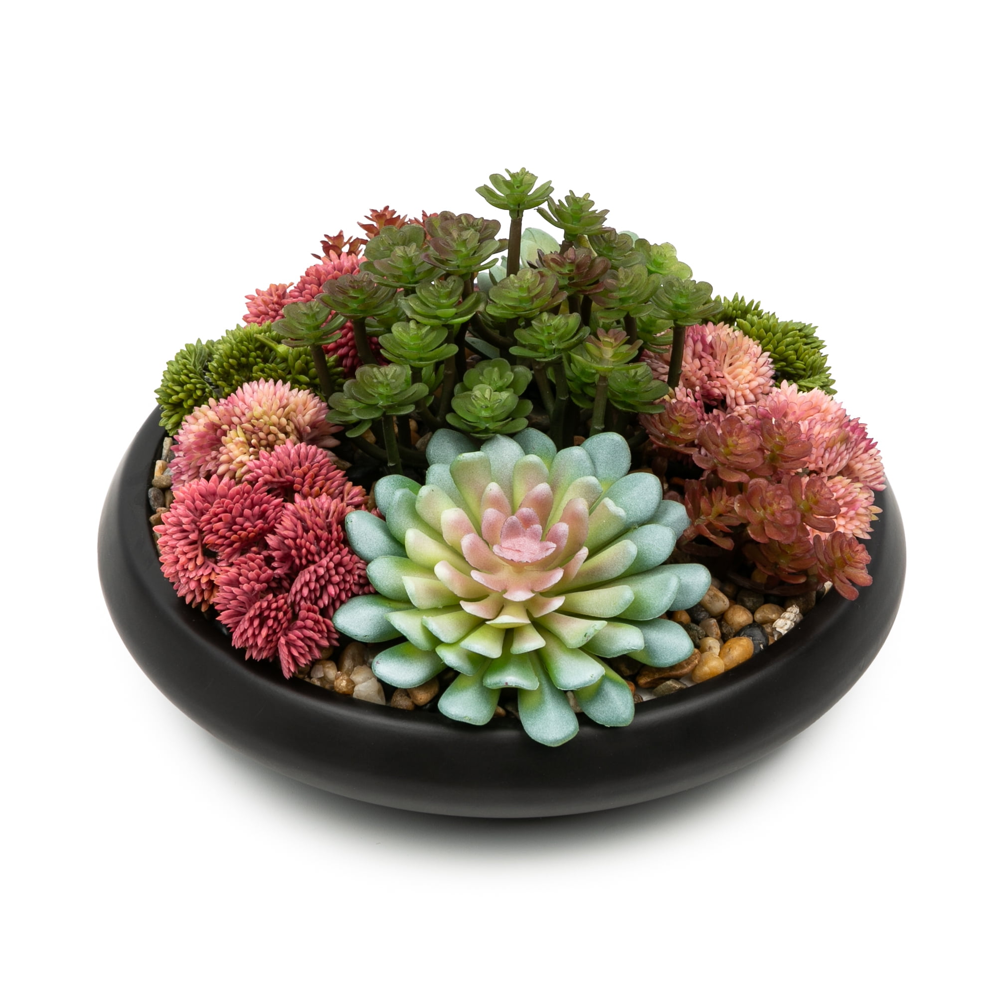 Better Homes & Gardens Artificial Mixed Succulent in Black Round Ceramic Bowl, 9"