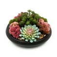 thumbnail image 6 of Better Homes & Gardens Artificial Mixed Succulent in Black Round Ceramic Bowl, 9", 6 of 11