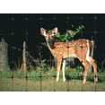 thumbnail image 4 of 7.5 ft. x 65 ft. Plastic PP Stretch Net Deer Net Protective Net Fence Net Household(30 ties), 4 of 6