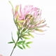 thumbnail image 5 of Ramo de flores artificiales Wosthever ciruela púrpura 5 piezas, 5 of 6
