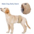thumbnail image 1 of Bandeau pour Chien Lavable Imperméable pour Dressage Physiologique, 1 of 8