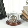 thumbnail image 2 of Plymor 3 inch x 3 inch Glass Display Dome Cloche (Dark Wood Base), 2 of 3