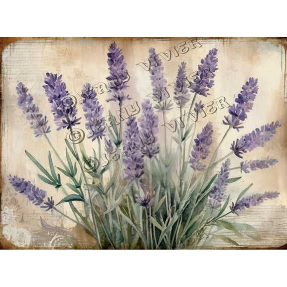 Lavender Flower Retro Aluminum Sign 5.5"x8" Metal Sign Lavender Flower Kitchen Wall Decor Shabby Chic Bathroom Decor Tin Garden Signs for Cafes Club Pub Man Cave Wall Sign Gifts