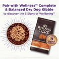 thumbnail image 4 of Wellness Bowl Boosters Bare, Dog Food Topper  for Small, Medium, & Large Breeds, Grain Free, Natural, Freeze Dried, Beef, 4 Ounce Bag (Pack of 1), 4 of 6