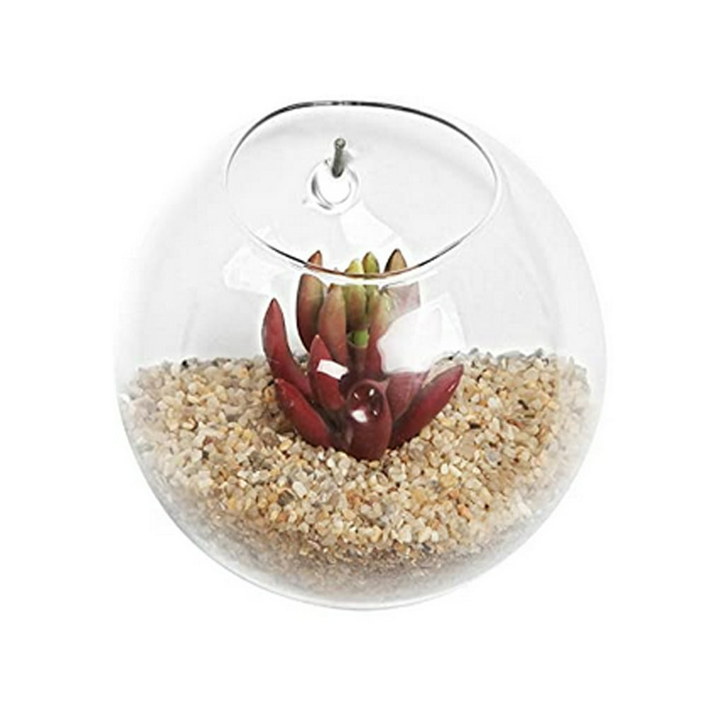 FOCUSNORM Wall Hanging Planter Glass Planter Terrarium Round Glass