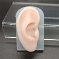 thumbnail image 4 of Modelo de Parte del Cuerpo Flexible Colcomx para Oreja Derecha de Silicona, 4 of 8