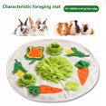 thumbnail image 4 of Pet Snuffling Mat, 23" Foraging Toy For Guinea Pig Hamster Rabbit, Interactive Feeding Mat Toy, Little Pet Sniffing Pad With Carrots Flowers, 4 of 9