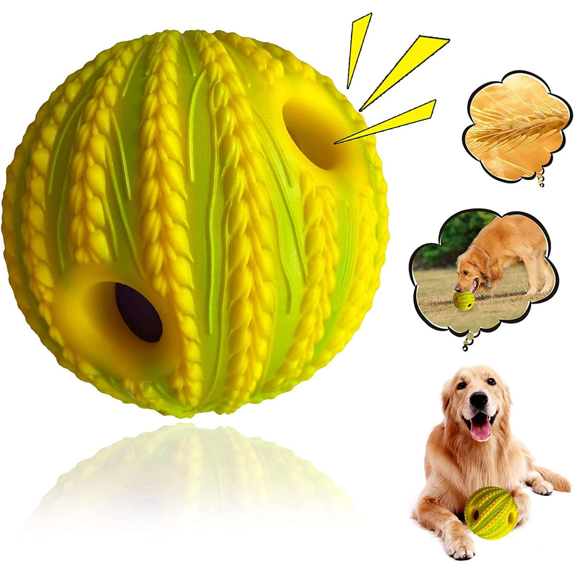 Why Does My Dogs Bark Sound Weird