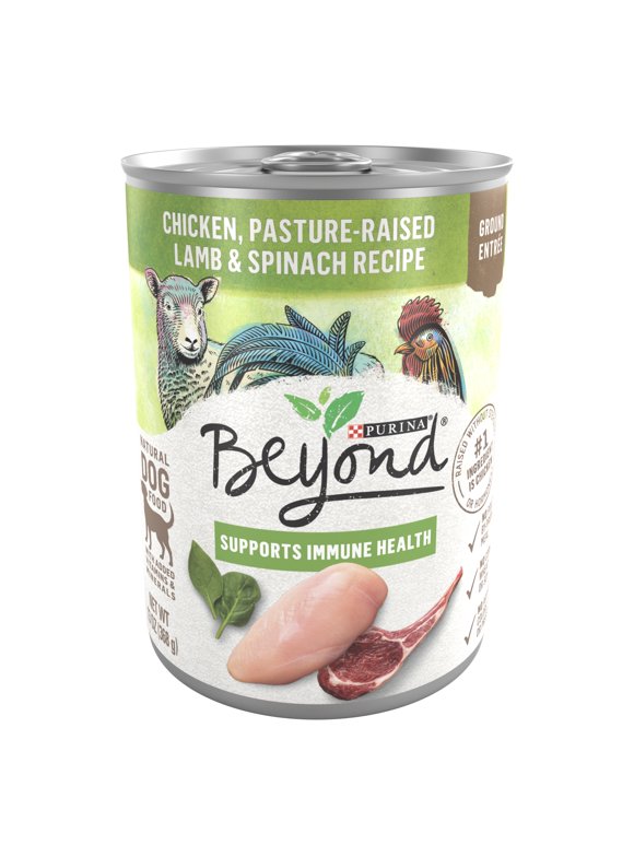 Purina Beyond Dog Food in Purina Beyond
