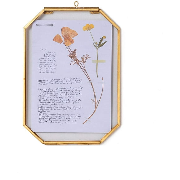 shiyou-Hanging Octagon Glass Floating Frame for Pressed Dried Flowers, Plant Specimen, Photo, Herbarium, Gallery Wall Mounted Decor, 5X7 inches, Gold, Glass Frame Only