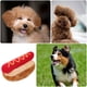 thumbnail image 5 of Juguete para perros con sonido chirriante, juguete para masticar, juguete para perros con sonido, juguete resistente a las mordeduras., 5 of 6