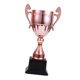 thumbnail image 5 of Trofeos de premio Trofeo pequeño para niños Copa de trofeo de premio para fútbol Fútbol Béisbol Cobre M, 5 of 9