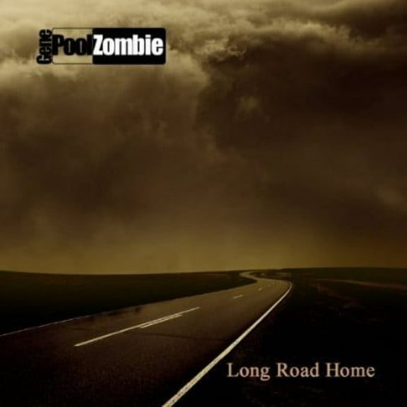 Long Road Home (CD)