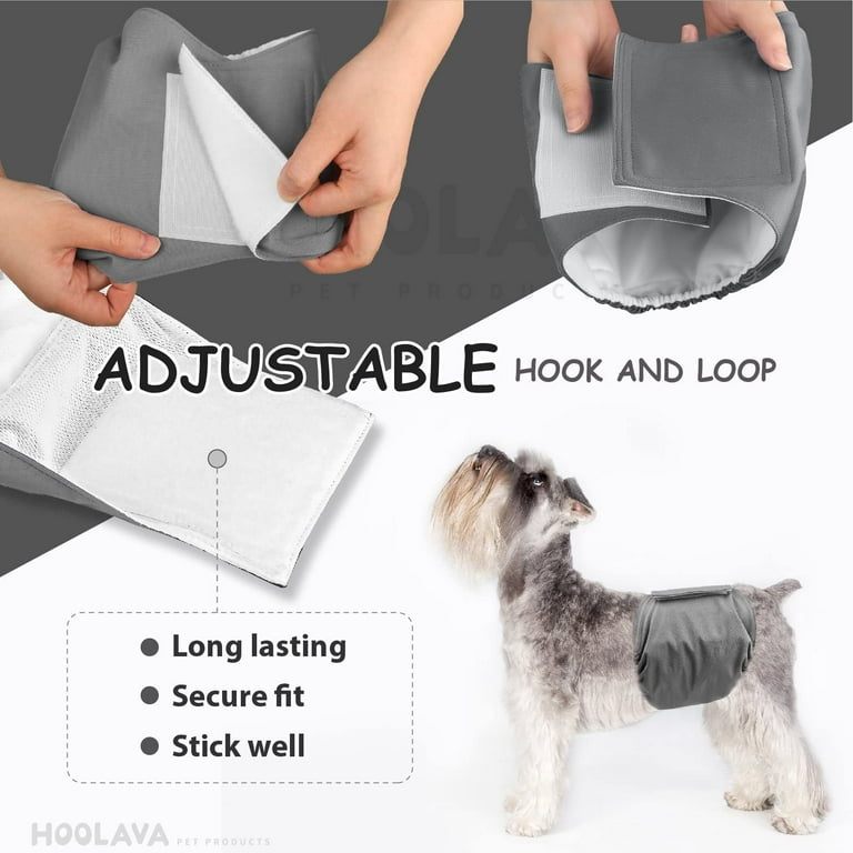 Male dog cheap diapers walmart