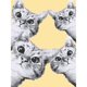 thumbnail image 2 of Cuadros Decorativos Pintura de diamante animal gato 5D decoración de diamantes de imitación con cuen Likrtyny embutido en tela, 2 of 9