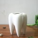 thumbnail image 5 of Soporte de cerámica para cepillos de dientes, para lápices, carne, plantas, macetas, hogar, oficina, escuela, regalo dental, 5 of 6