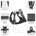 thumbnail image 6 of Gaeub Bears and Tropical Leaves Gaeub Bears and Tropical Leaves No Pull Dog Harness, Secure and Adjustable Pet Vest for Outdoor Activities - X-Large, 6 of 9