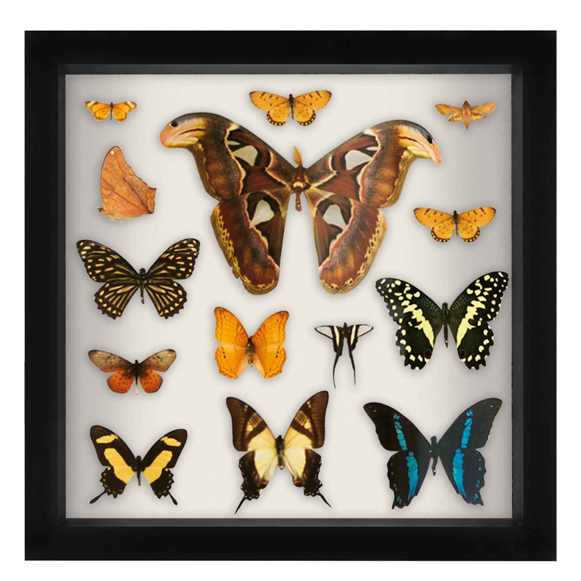 Americanflat 11" x 11"Shadow Box Frame with Shatter-Resistant Glass - Large Shadow Box Display Case for Tabletop and Wall Display - Black