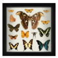 thumbnail image 4 of Americanflat 11" x 11"Shadow Box Frame with Shatter-Resistant Glass - Large Shadow Box Display Case for Tabletop and Wall Display - Black, 4 of 8