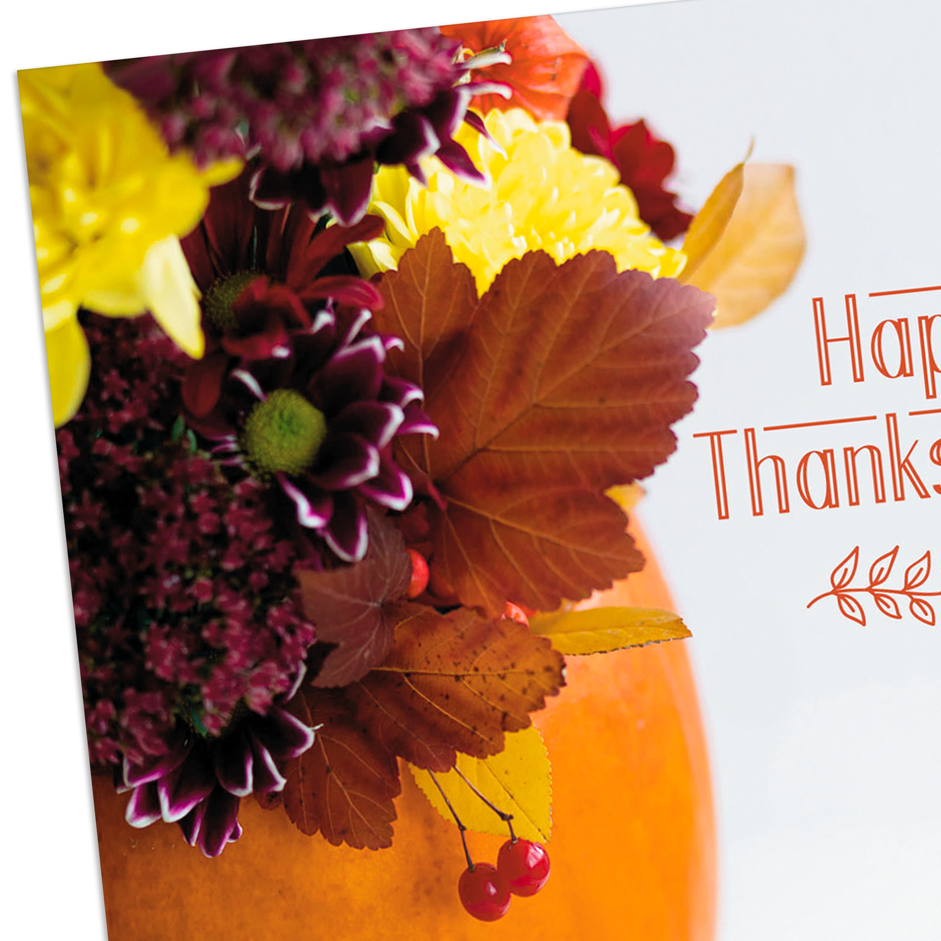 Hallmark Thanksgiving Cards (E Thing), 6 Count