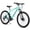 Green, variant on AVASTA AV300 26 inch Mountain Bike with 21-Speed,Aluminum Frame, Dual Disc Brake, Comfortable Saddle,Gray