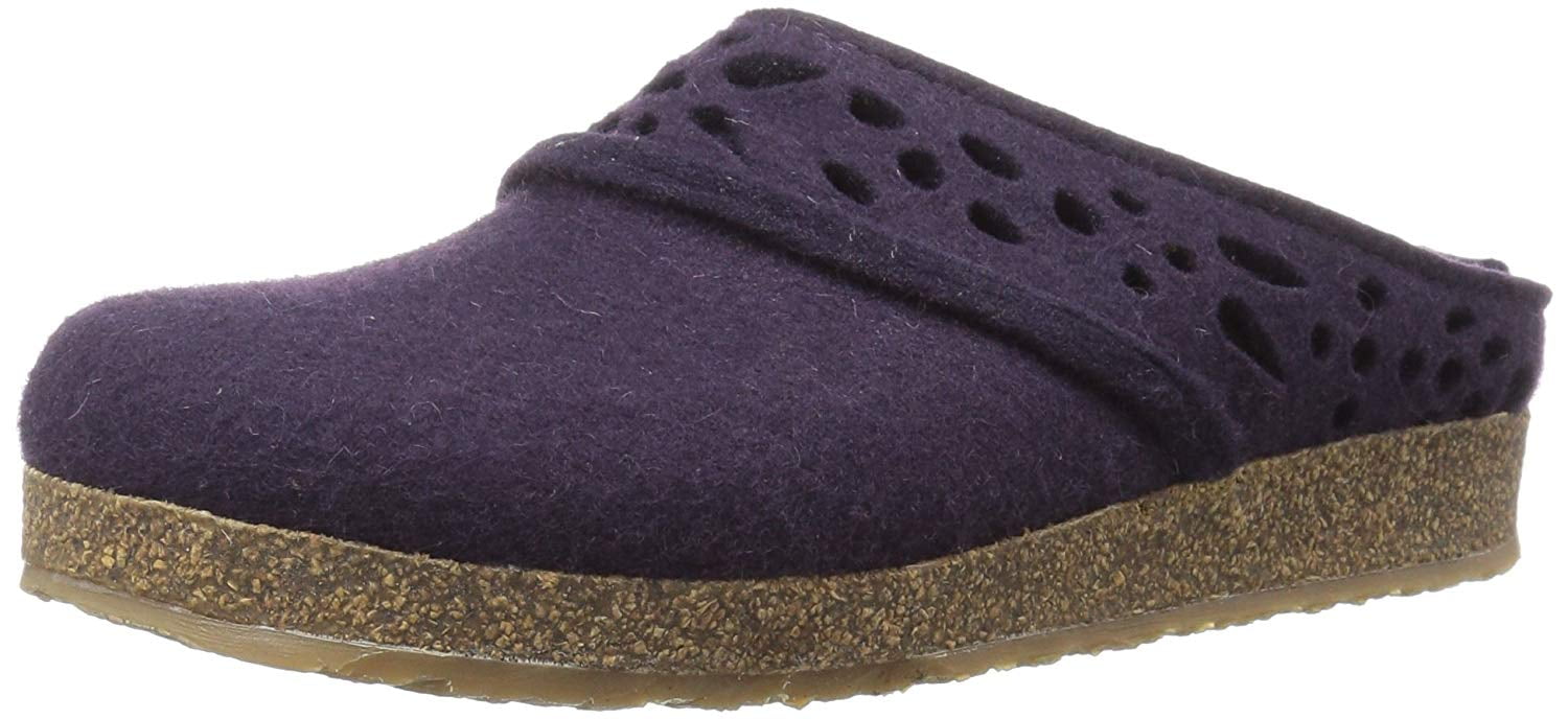 haflinger lacey