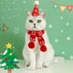 thumbnail image 4 of Adornos navideños, adornos para árbol de Navidad, regalos navideños, conjunto navideño para mascotas, collar de bufanda de lana para cachorros, gorro estéreo con bolas de pelo, conjunto combinado con, 4 of 6