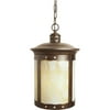 Forte Lighting One Light Outdoor Pendant with Honey Shade in Rustic Sienna