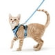 thumbnail image 1 of Chaleco ajustable suave Cat Harness Rabbitgoo, azul claro, XS, 1 of 6