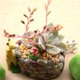 thumbnail image 5 of Exquisita Mano De Obra Resina Suculenta Maceta Jirafa Adoquín Flor Musgo Suculenta Micro Paisaje Balcón Resina Decoración Eigraketly HA019528-00, 5 of 7